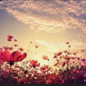 We offer same day shipping!